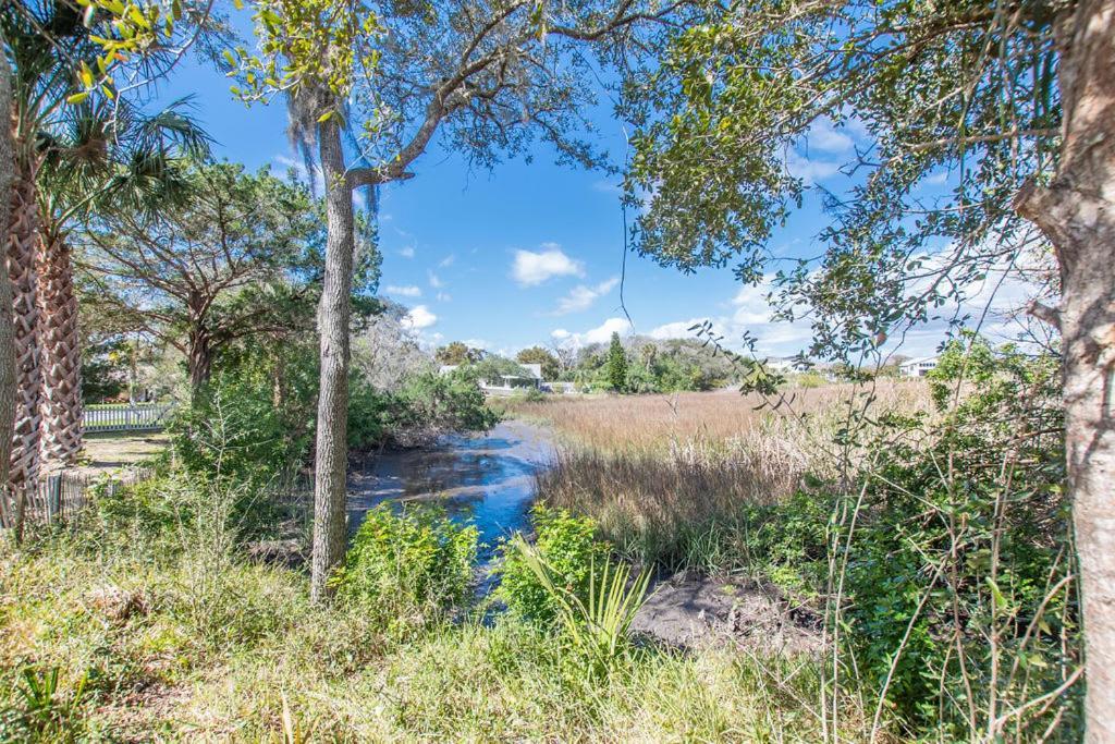 Marsh Front Birders Paradise Close To Beaches And Downtown セント・オーガスティン エクステリア 写真