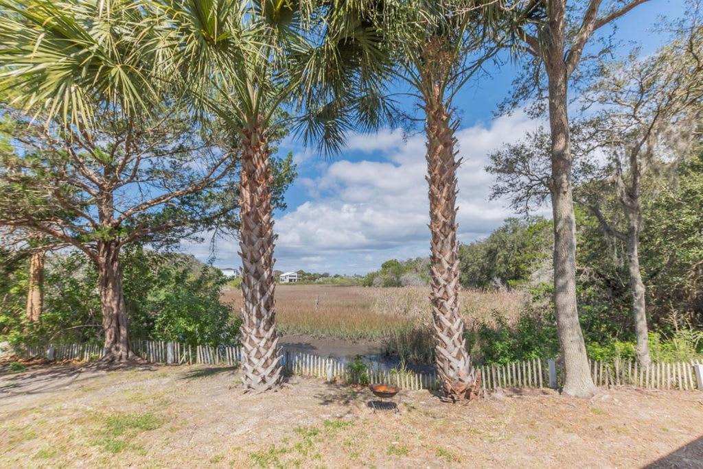 Marsh Front Birders Paradise Close To Beaches And Downtown セント・オーガスティン エクステリア 写真
